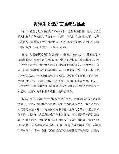 海洋生态保护面临哪些挑战