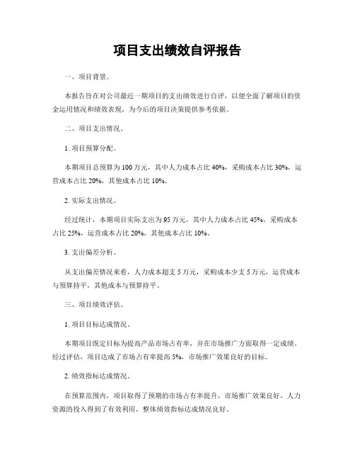 项目支出绩效自评报告