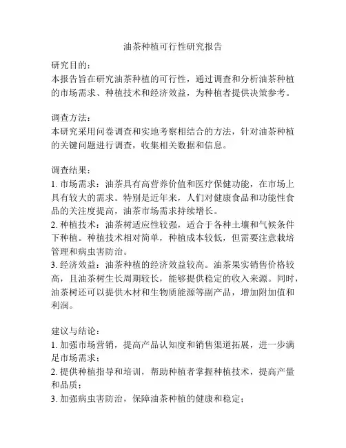 油茶种植可行性研究报告