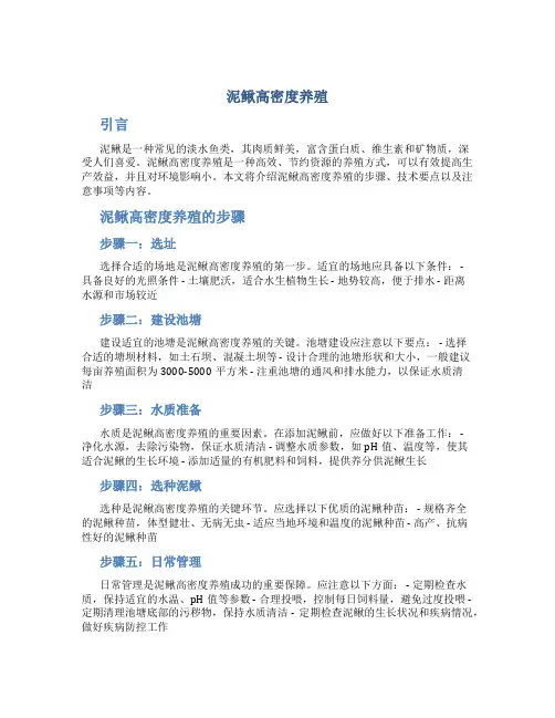 泥鳅高密度养殖