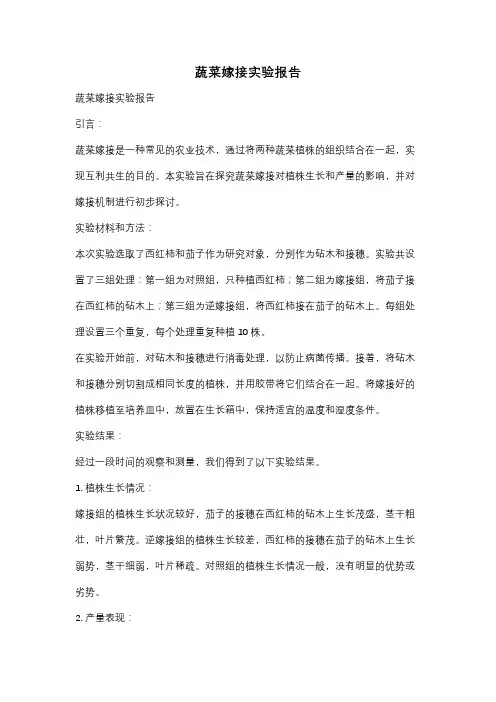 蔬菜嫁接实验报告
