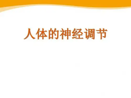 《人体的神经调节》PPT优秀课件