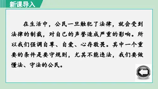 部编版道德与法治八年级上册第五课 做守法的公民 课件