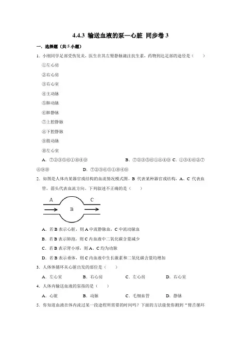 人教版生物七年级下册 输送血液的泵—心脏