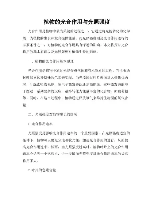 植物的光合作用与光照强度