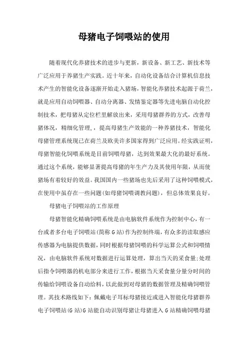 母猪电子饲喂站使用