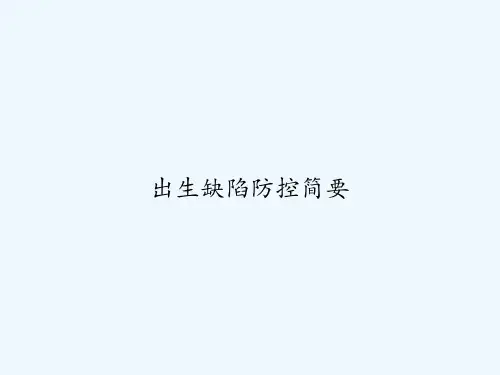 出生缺陷防控简要 PPT
