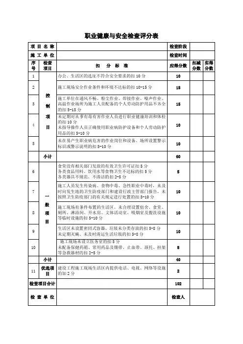 职业健康与安全检查评分表