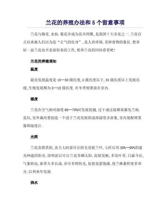 兰花的养殖方法和5个注意事项