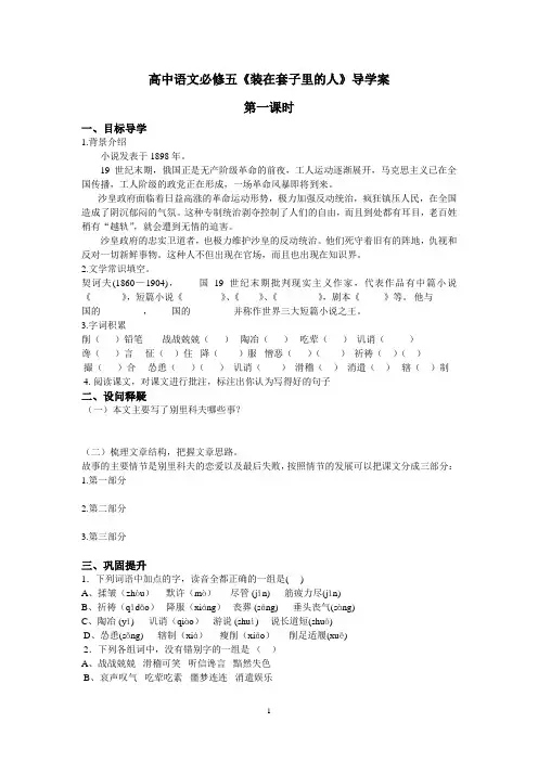装在套子里的人