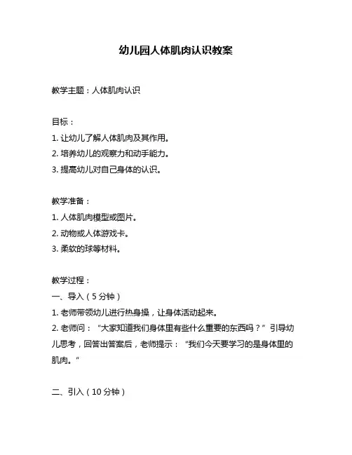 幼儿园人体肌肉认识教案