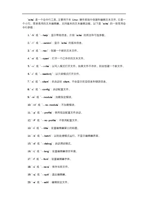 scite 命令行参数