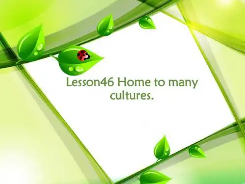冀教版(新)九年级英语(全册)Lesson46 Home to many cultures. (共29张ppt)