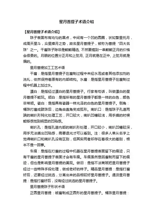 星月菩提子术语介绍