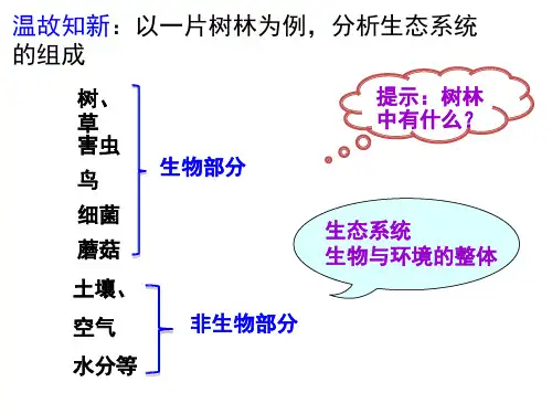 食物链(课堂PPT)