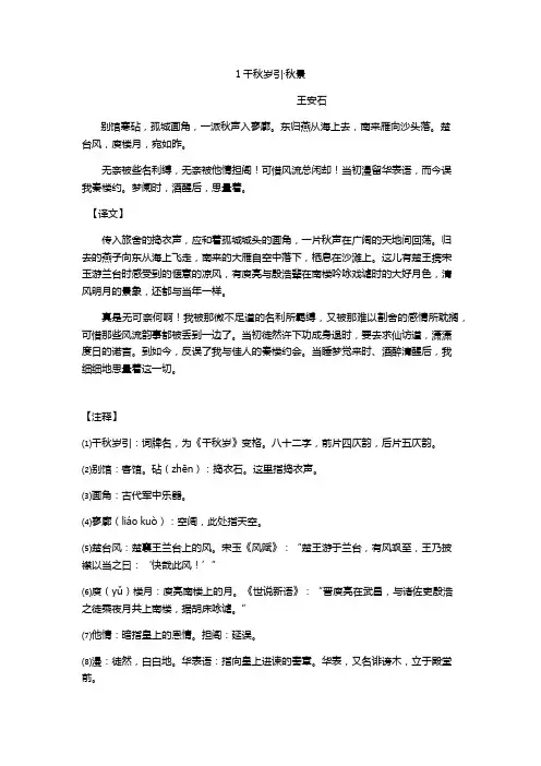 王安石诗词赏析