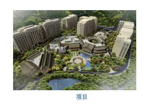 投标述标文件 ppt课件