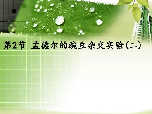 人教版高中生物必修二课件：1.2孟德尔的豌豆杂交实验(二)24PPT