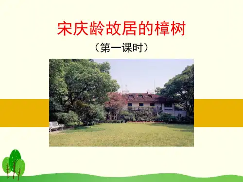 《宋庆龄故居的樟树》PPT课件