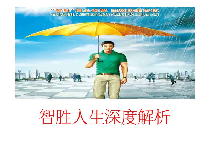 智胜人生深度解析
