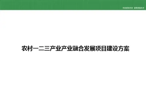 农村一二三产业产业融合发展项目建设方案