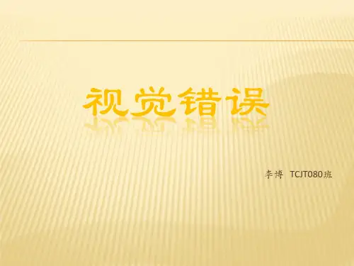 视觉错误ppt课件