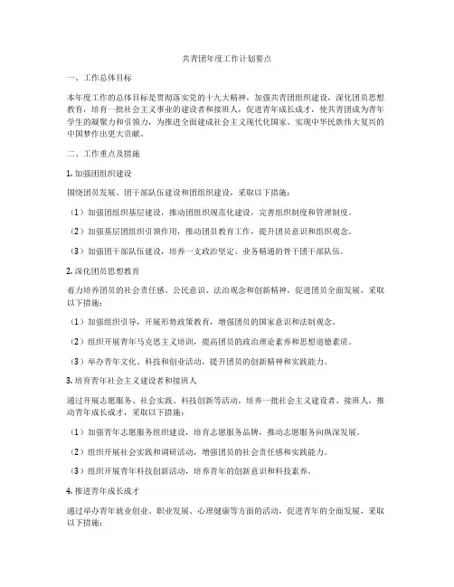 共青团年度工作计划要点