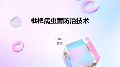 枇杷病虫害防治技术