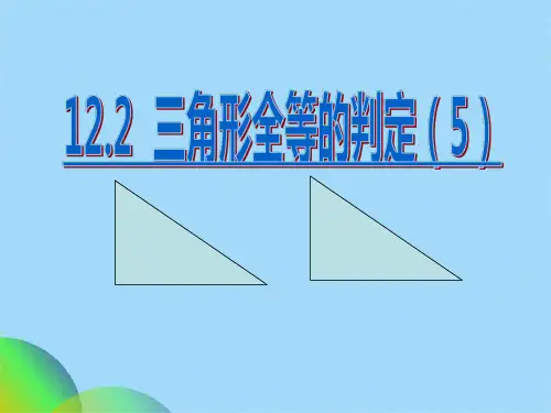 三角形全等的判定(共23张PPT)