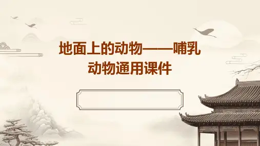 地面上的动物——哺乳动物通用课件