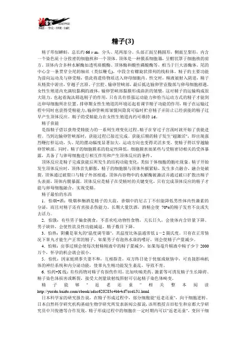 【男人的身体】精子(3)