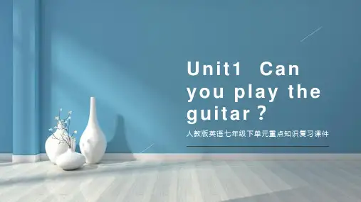Unit1  Can you play the guitar？七年级下英语重点知识综合复习
