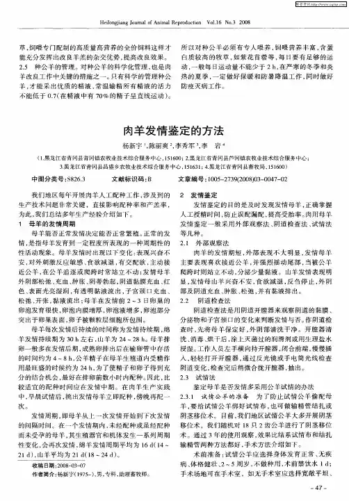 肉羊发情鉴定的方法