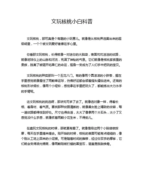 文玩核桃小白科普