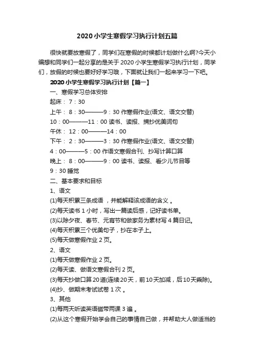 2020小学生寒假学习执行计划五篇