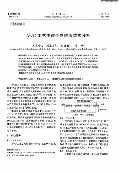 A 2／O工艺中微生物群落结构分析