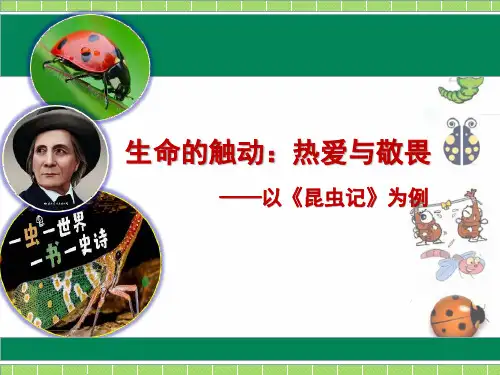 最新统编版语文八年级上册第五单元名著导读《昆虫记》课件