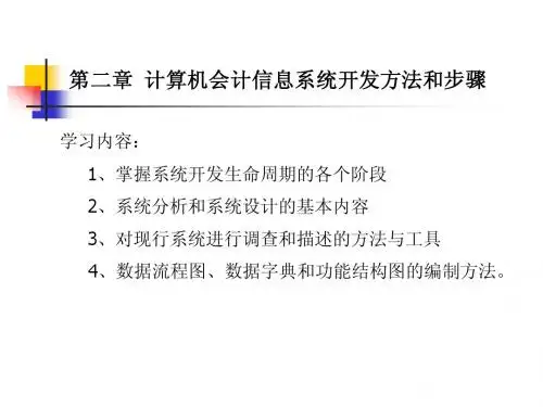 第二章会计信息系统开发