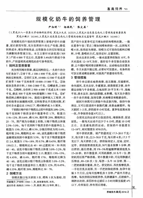规模化奶牛的饲养管理