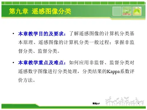 《遥感图像分类》PPT课件