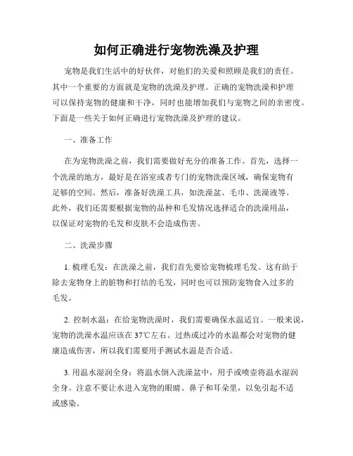 如何正确进行宠物洗澡及护理