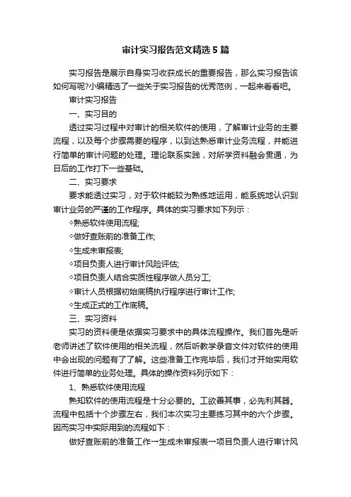审计实习报告范文精选5篇