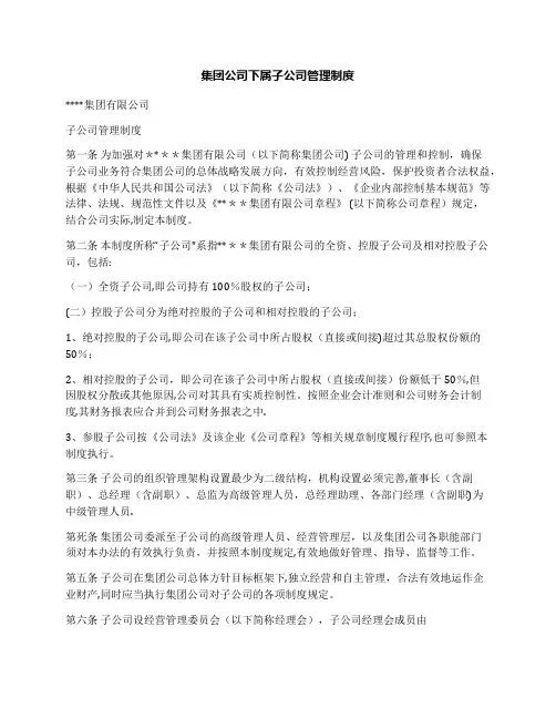 集团公司下属子公司管理制度