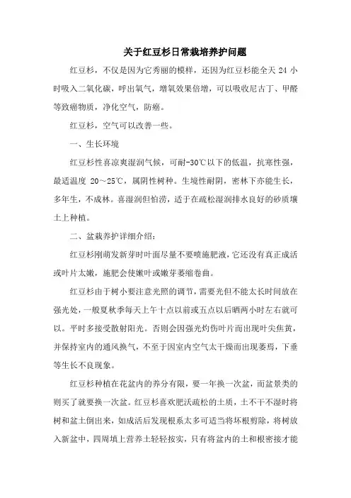 关于红豆杉日常栽培养护问题