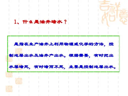 油井堵水技术