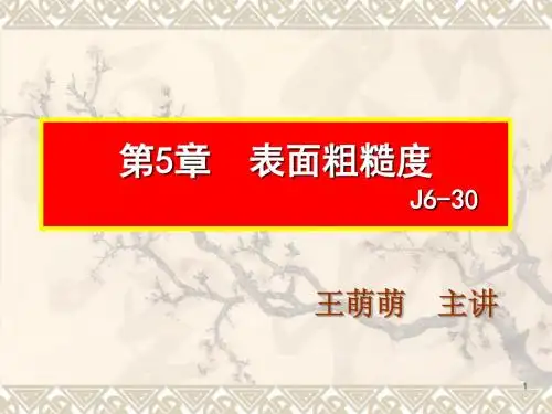 表面粗糙度