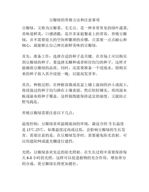 豆瓣绿的养殖方法和注意事项