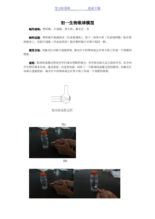 初一生物眼球模型