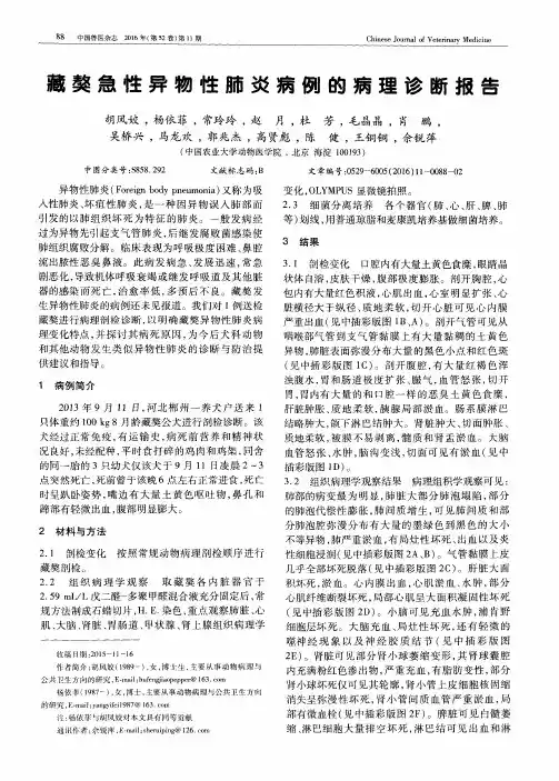 藏獒急性异物性肺炎病例的病理诊断报告
