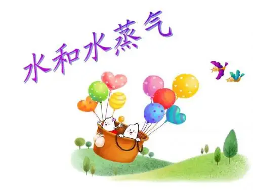 水和水蒸气课件